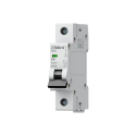 Miniature circuit breakers RI51 C6