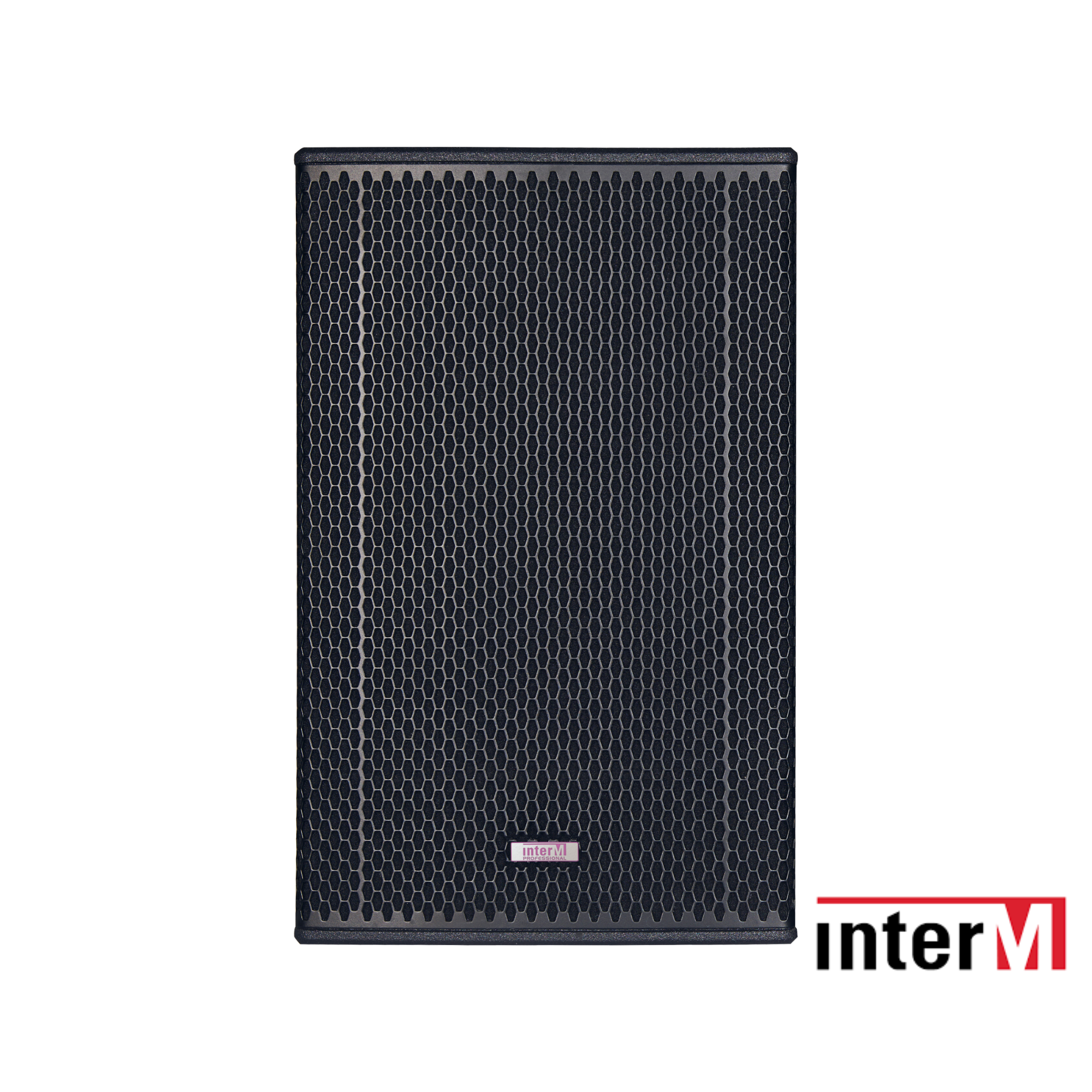 Loa 2Way passive point source 300W - TE12